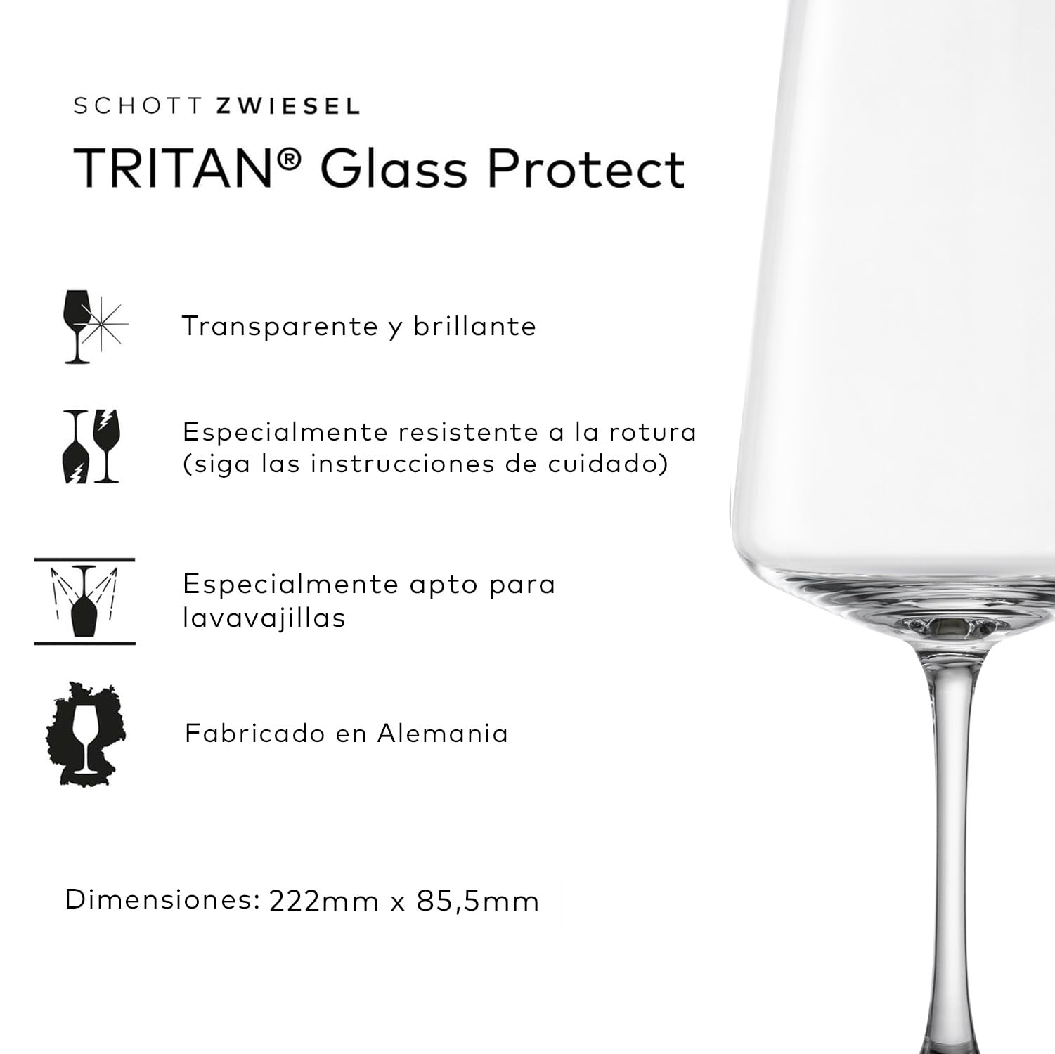 SCHOTT ZWIESEL Juego de copas MioVino (set de 12), modernas copas de vino y copas de champán en un juego, copas de cristal Tritan aptas para lavavajillas, fabricadas en Alemania (nº art. 124072)