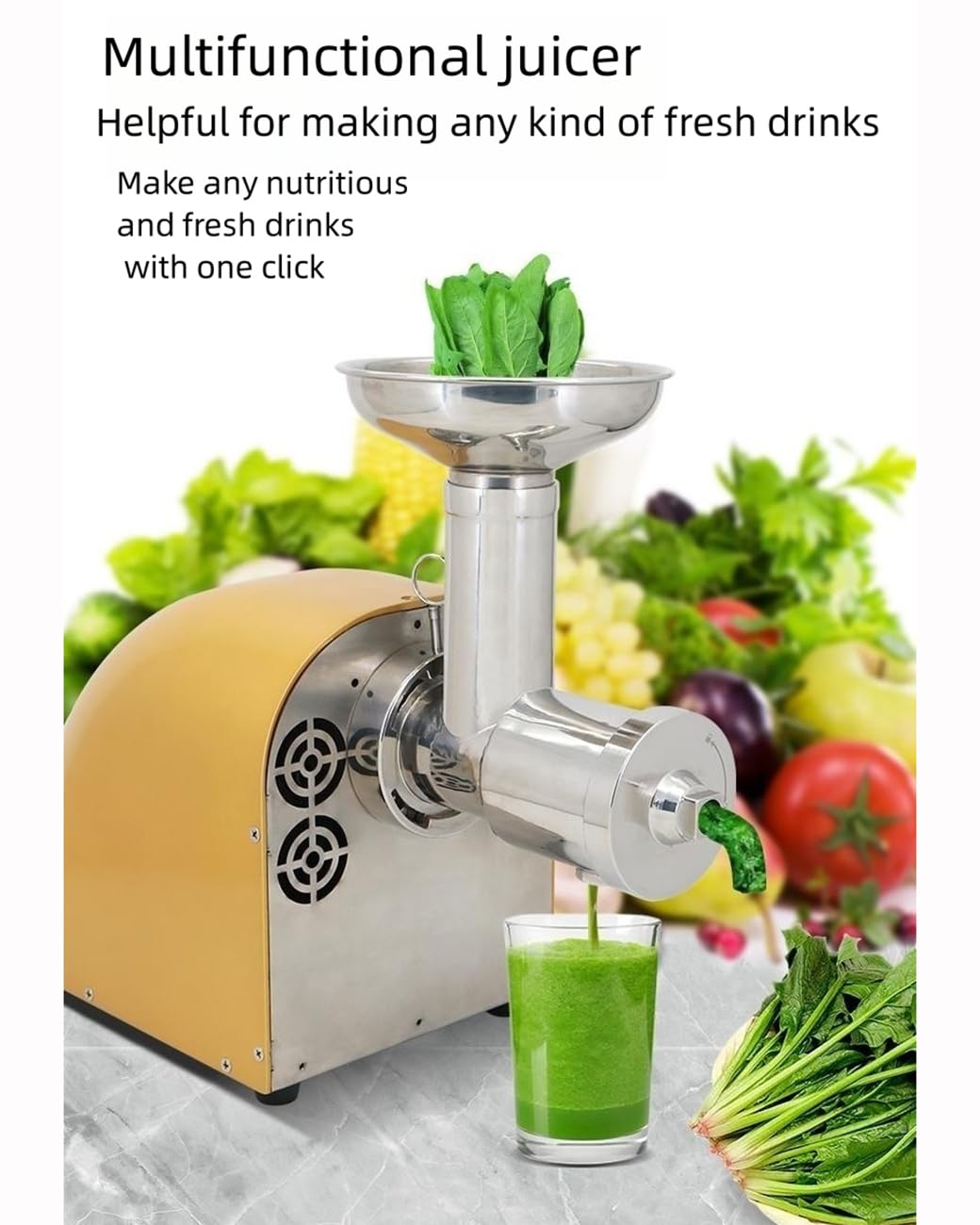 250W Commercial Slow Masticating Juicer - Detailed View