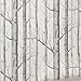 Produktbild Rustikale moderne Wald Birkenbaum Tapetenrolle schwarz weiß Woods 21in x 394in