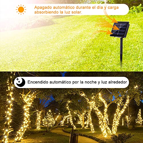 Review de Luces navideñas Philips comprados en linea. 12 Imagen adicional