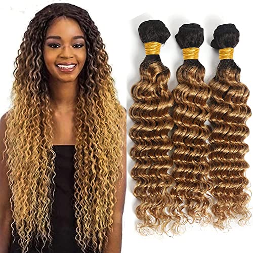 Honey Blonde Bundles Human Hair Deep Wave Bundles 1b27 Human Hair Bundles 18 20 22 Inch Ombre Bundles Two Tone Black And