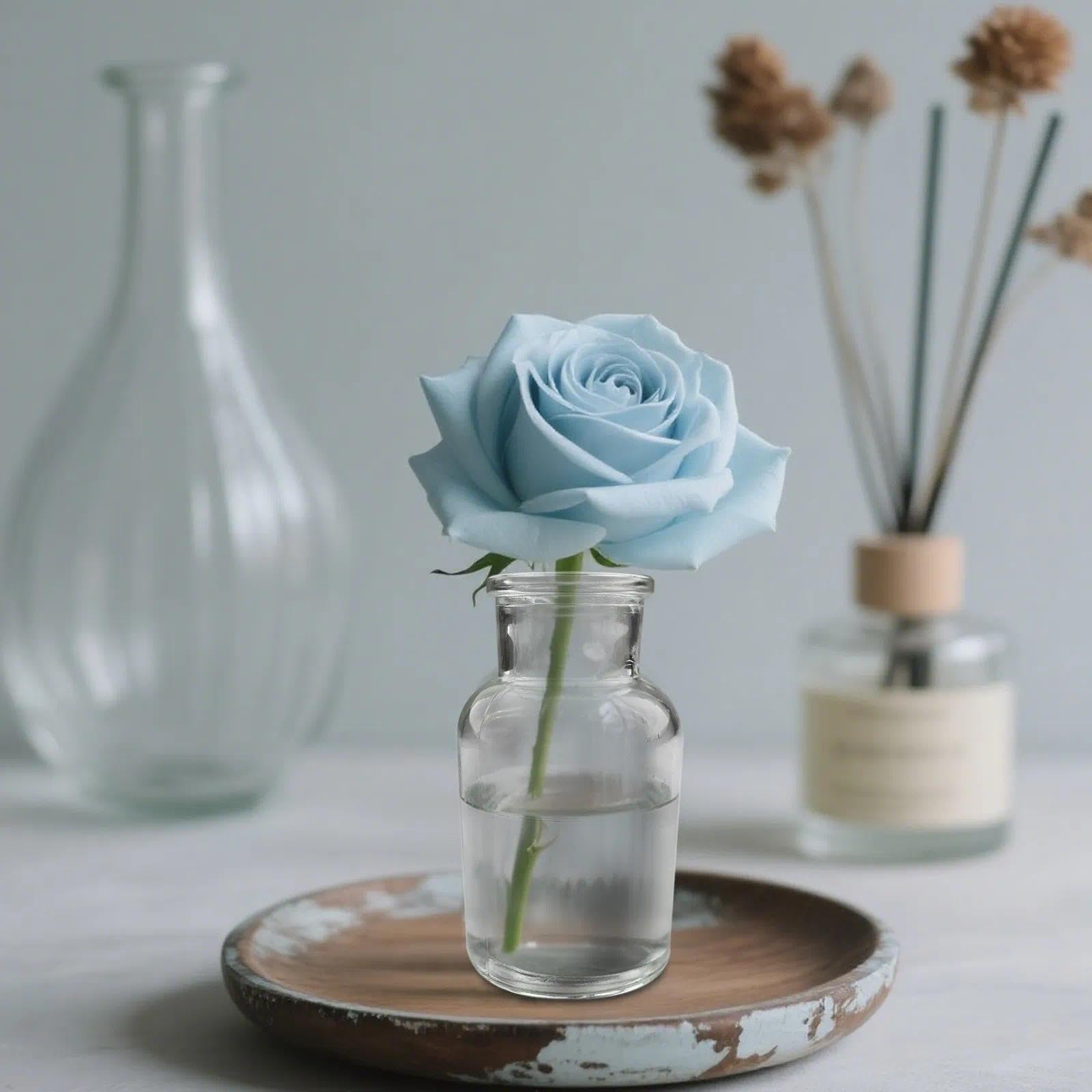 12 Mini Vasi Decorazione in Vetro,Moderni Trasparenti Vaso Minimalisti, Facile da Pulire, Per la disposizione dei fiori, Ideale Decorazione da Tavolo, Matrimonio, Ricevimento