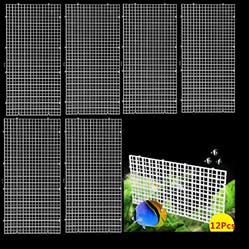 10 Best 10 Fish Tank Divider 75 Gallon 10 of 2022