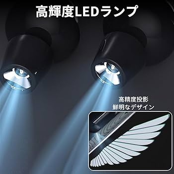 高品質 フローライト 天使の翼 手彫り ブラックスタンド付き Amazon.co.jp: オートバイ 車用カーテシーランプ LED 天使の翼