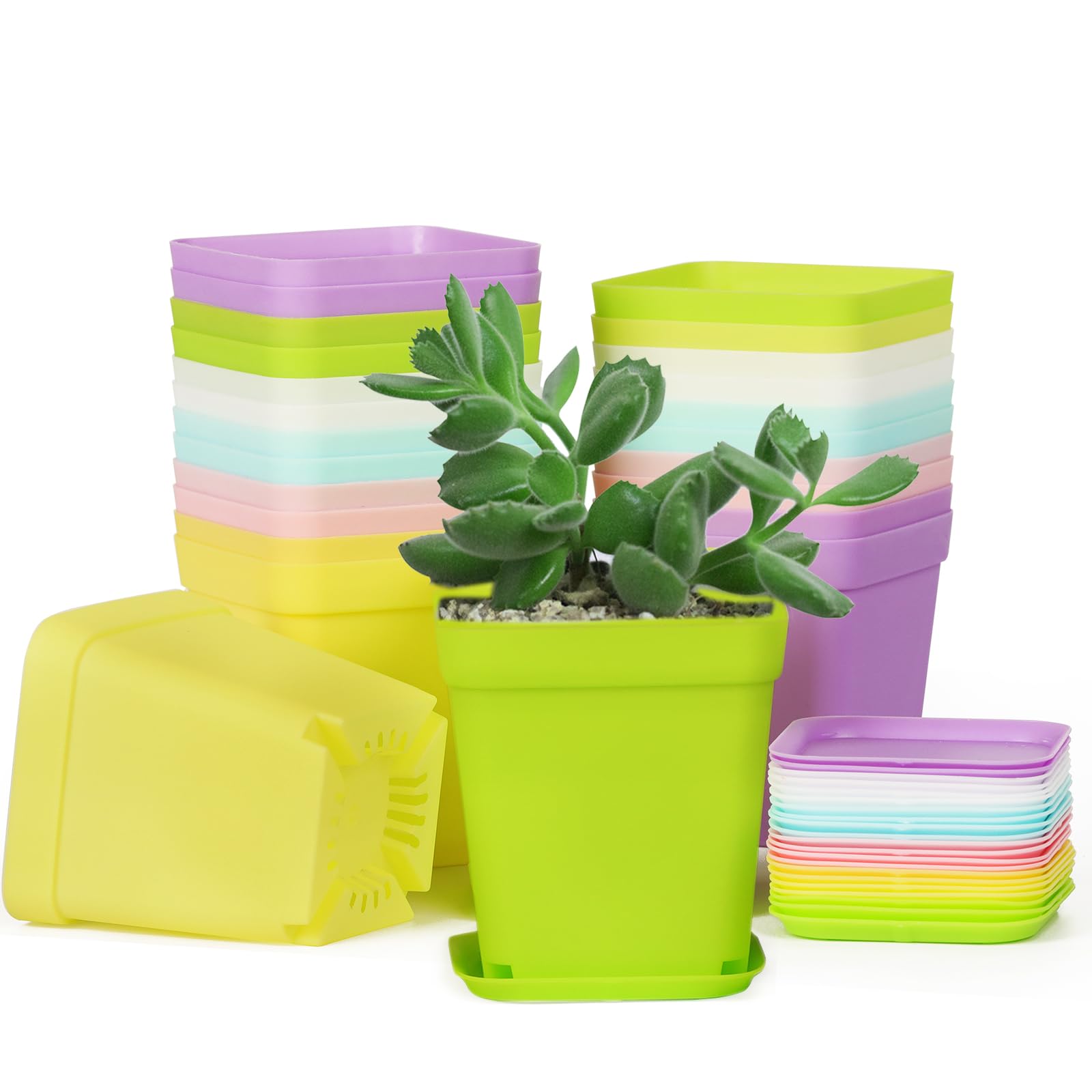 GEBETTER 24pcs Macetas Colores Pequeñas (6 Colores) Macetas Cuadradas Plástico con Bandejas Macetas Colores Exterior Interior para Suculentas Orquídea Tiestos para Plantas