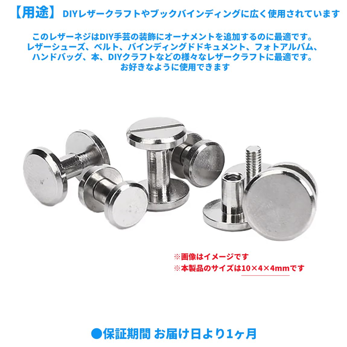Amazon.co.jp: オーディオファン シカゴスクリュー 10個入り 10×4×4mm