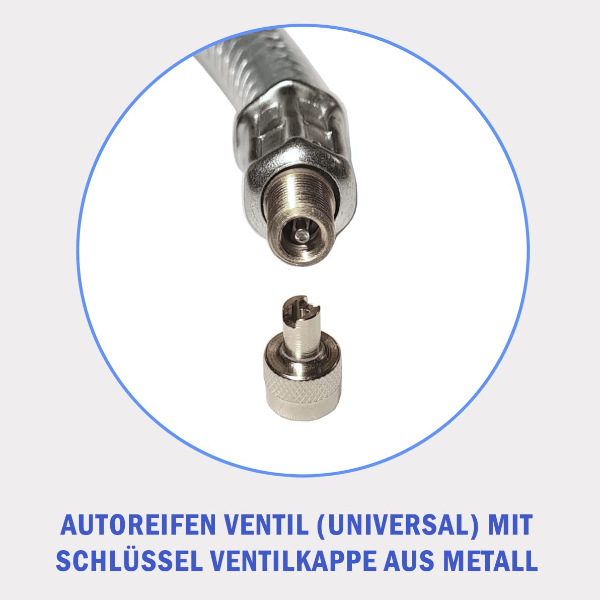 SAVA Absperrblase, Typ Plugy Z2-3 für DN 50-75 mm Rohre mit 1-5m Druckluftschlauch, Rohrverschluss, Rohrstopfen, Rohrblase, Drain Plug (Plugy Z2-3 mit 2 Meter Schlauch)