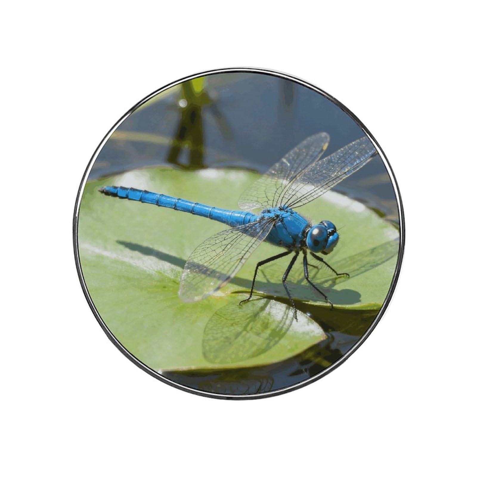 Dragonfly Customizable Refrigerator Magnets, Strong Magnetic Fridge Stickers, Funny Round Decorative Fridge Magnets for Home Kitchen, Whiteboard, Locker, and Office