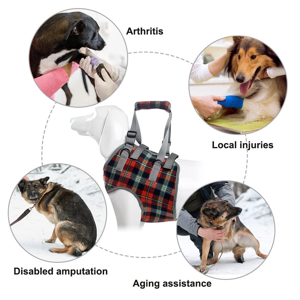 Harnais de Levage pour Chien,Support de Levage de Chien avec Poignée pour Pattes Avant,Sangles Réglables pour Chiens Âgées Handicapées Récupération Et Marche