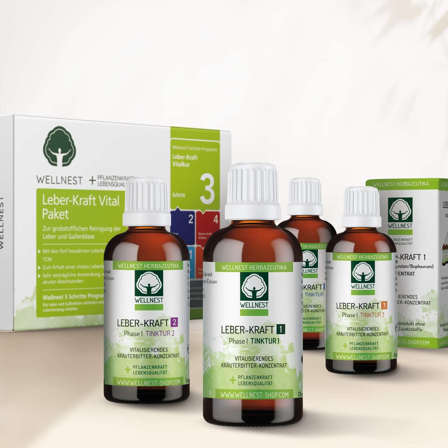 Leber-Kraft Detox-Kur-Paket (Entgiftungs-Kurpaket für 40 Tage Leberreinigung nach TCM) - 100% pflanzlich - einfache Handhabung - sehr gut wirksam bei Leber- und Durchschlafbeschwerden
