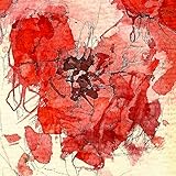 Peter Bradley Adams / Tone Tree Music