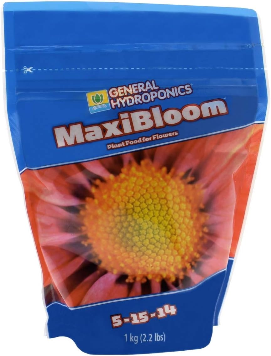 MAXI BLOOM 2.2 LB