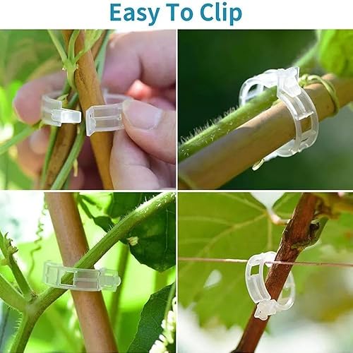 Miniatura 6 de Clips de soporte para plantas, clips de jardín reutilizables, clips de plástico para tomate, vid y uva para cuerdas, clips para plantas trepadoras,