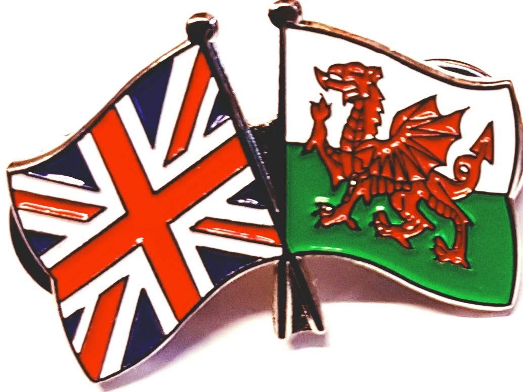 Mainly Metal White ™ Enamel Pin Badge Friendship Flags Wales Uk Gb (United Kingdom Great Britain) 30Mm
