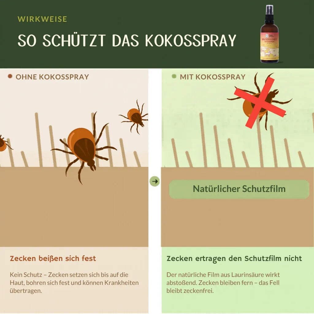 Yuki cares Kokosspray Spazierschutz - natürlicher Zeckenschutz für Hunde 100ml