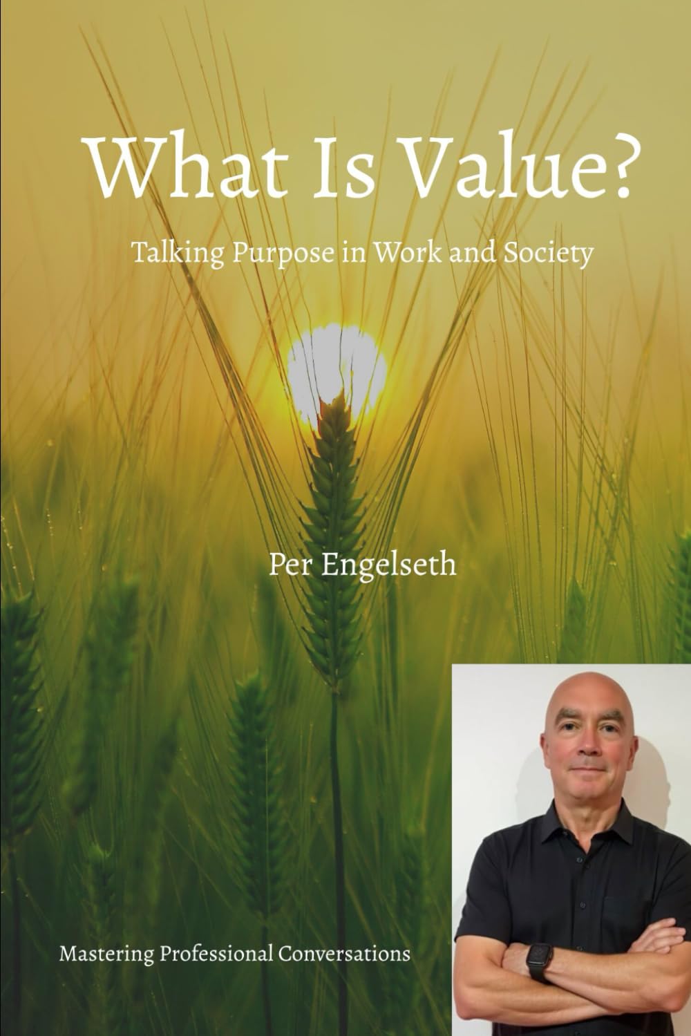 What Is Value?: Talking Purpose in Work and Society (Mastering Professional Conversations)