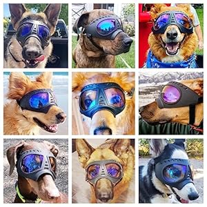 Namsan Dog Goggles for Large Dogs UV Dog Sunglasses Medium Large Breed Transparent Dog Glasses Wind/Dust/Fog/Snow Dog Eye Protection, Wide Snout Rest, Soft Frame, Clear Blue