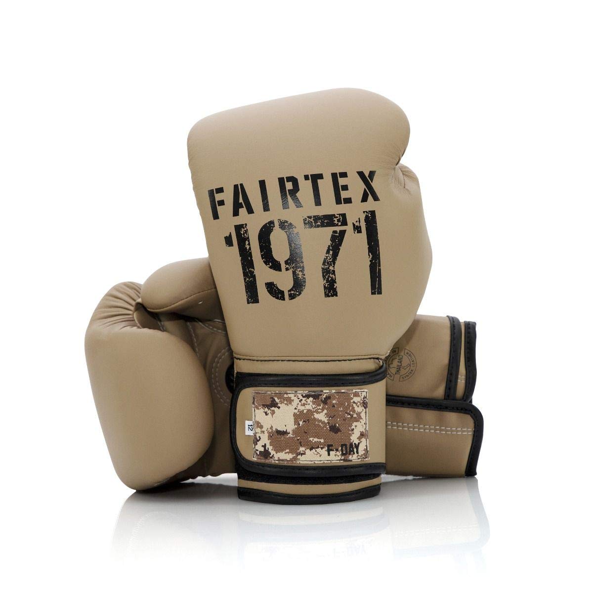 Fairtex Muay Thai Boxing Gloves for Men, Women, Kids | MMA Gloves, Kickboxing, Gym, Workout | Premium Quality, Light Weight &amp; Shock Absorbent Boxing Gloves - BGV14, BGV11, BGV18, BGV20, BGV25
