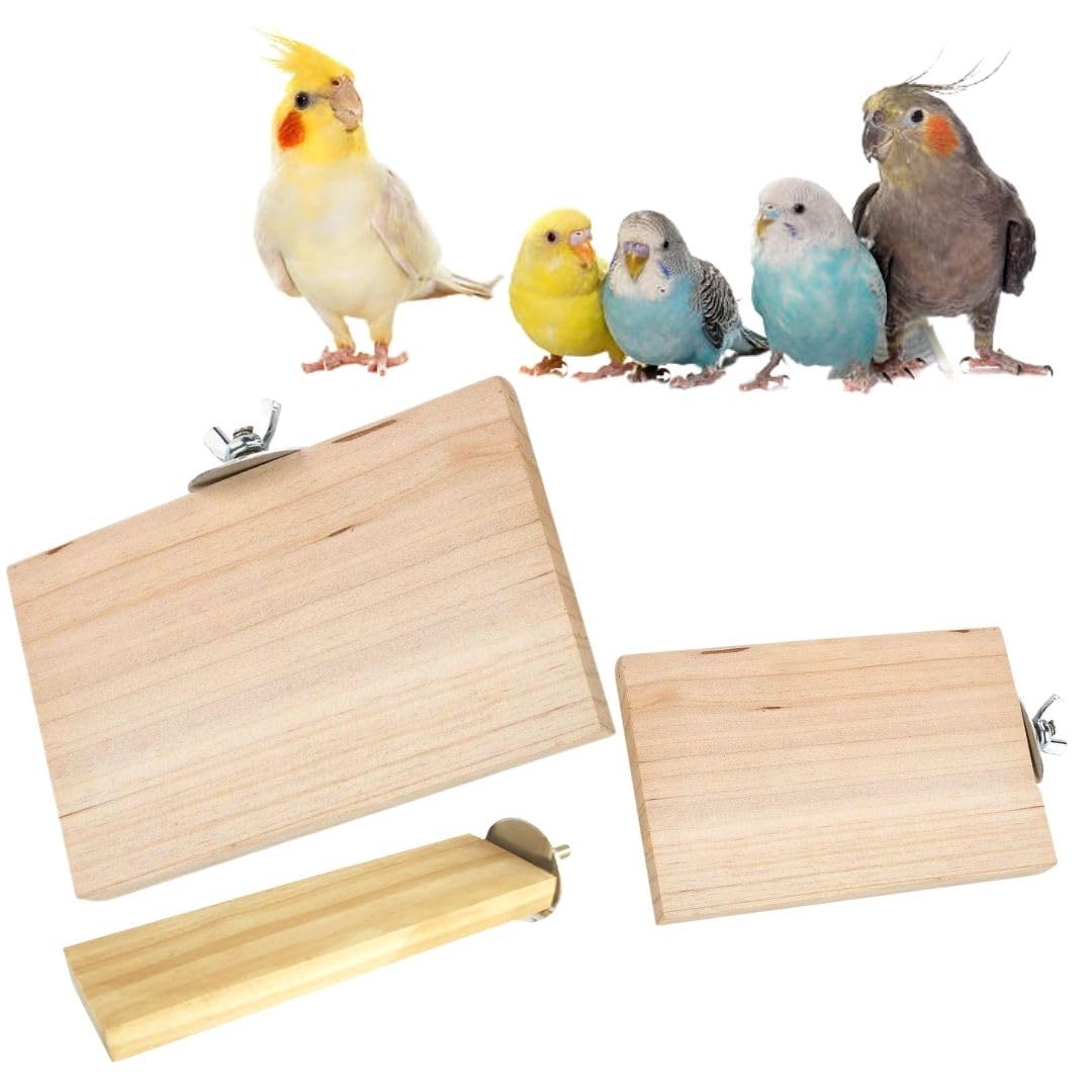 Sage Square Wooden Stand Platform Made of Natural Wood Combo of Three (3*4, 6*4.5 & 2*5.5 inches) Rectangle Shaped Perch Stand, Cage Accessories, Gym, Playful Toy, Suitable For Birds, Parrots, Budgies (B0CQR8SRR8) Amazon Price History, Amazon Price Tracker