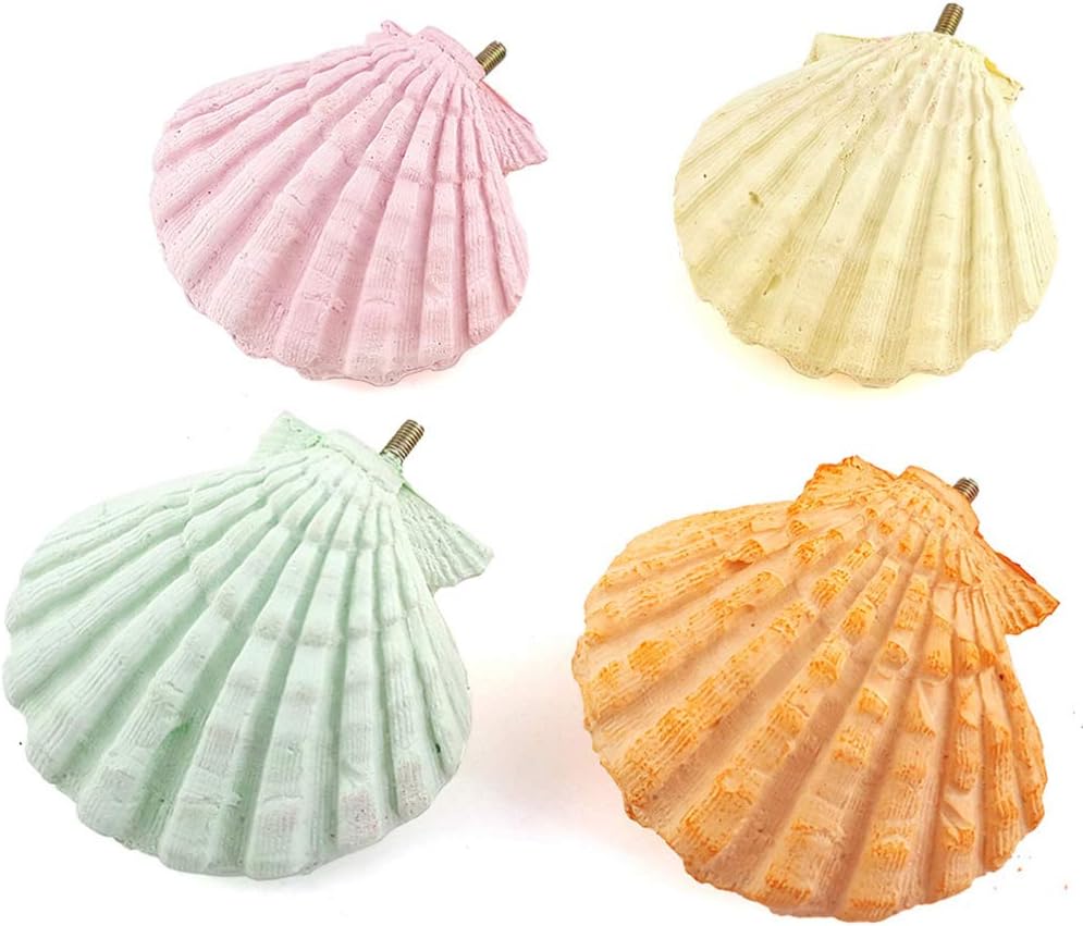 Parrot Perch Stand - 2PCs Shell Shape Squirrel Hamster Teeth Mouth Molar Grinding Stone Parrot Beak Stone Stand Platform