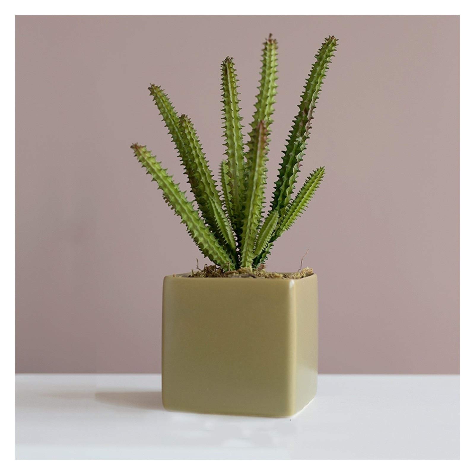 NGDFGR Artificial Potted Plant Decor Mini Artificial Succulent Plants Faux Succulent Potted With Pots For Home Living Room Dining Room Office Decorative Farmhouse Decor,B