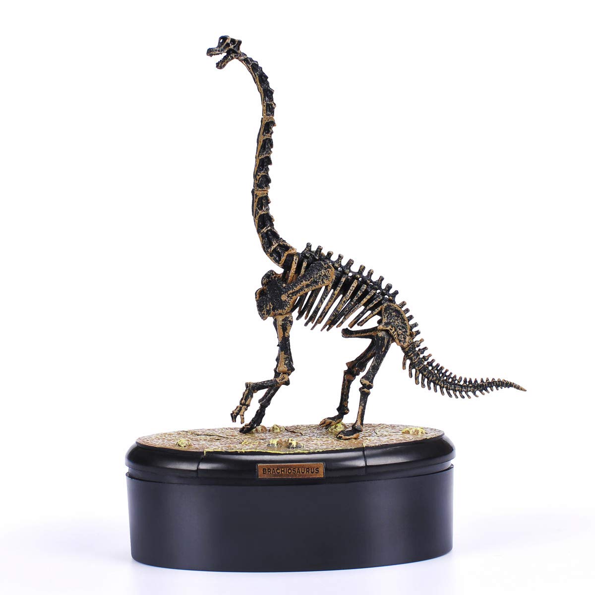 METAZO Kids Educational Learning Toy Puzzle Dinosaur Skeleton Fossil (Brachiosaurus Skeleton Fossil)