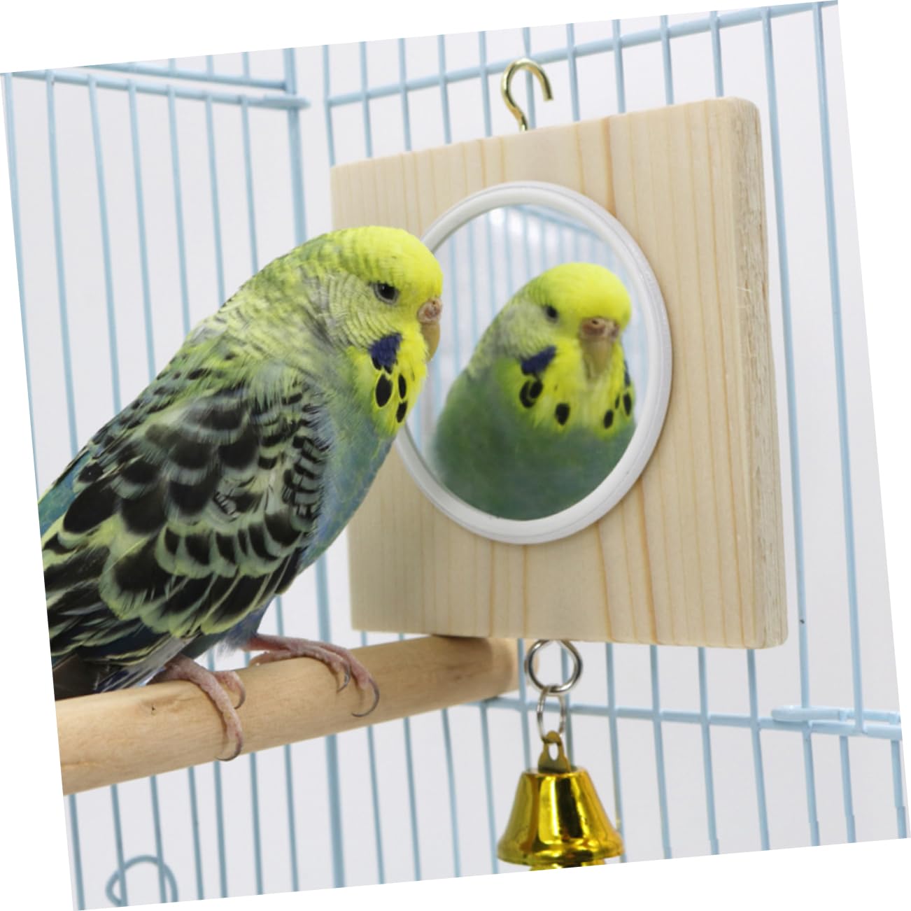 Zitstang met spiegel voor vogels, voor vogelspeelgoed