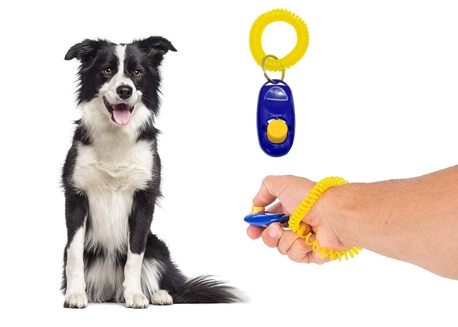 Santosh Enterprises Pets Training Toys for Dogs/Cats (Dog TRANNING CLICKER) 1