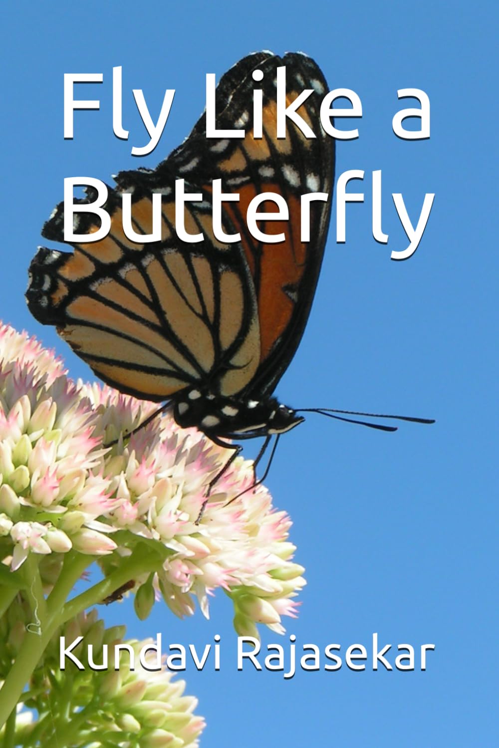 Fly Like a Butterfly