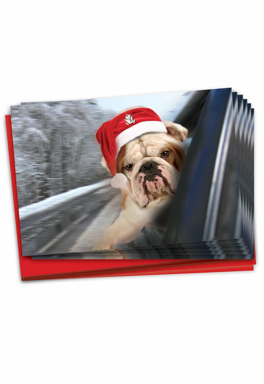 Nobleworks papier Drôles de Noël carte 12 Christmas Card Pack (SKU:B6481FXSG)