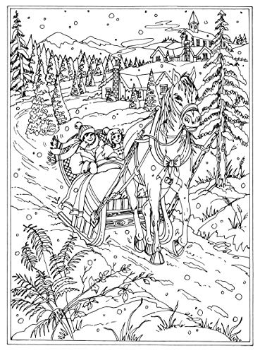 Creative Haven Winter Wonderland Coloring Book - Want It All