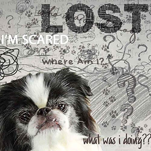 Image of The Blissful Dog Japanese Chin Age Well Spray Aromatherapy