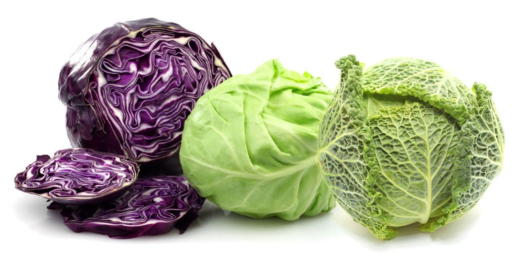 Raunak Seeds Mixed Cabbage Seeds Combo - Red Cabbage, Savoy Cabbage and Green Cabbage (Avg 30+ seeds each x 3 packets) Seeds combo (B072HYWMWB) Amazon Price History, Amazon Price Tracker