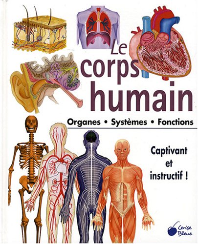 Le corps humain : Organes Systèmes Fonctions