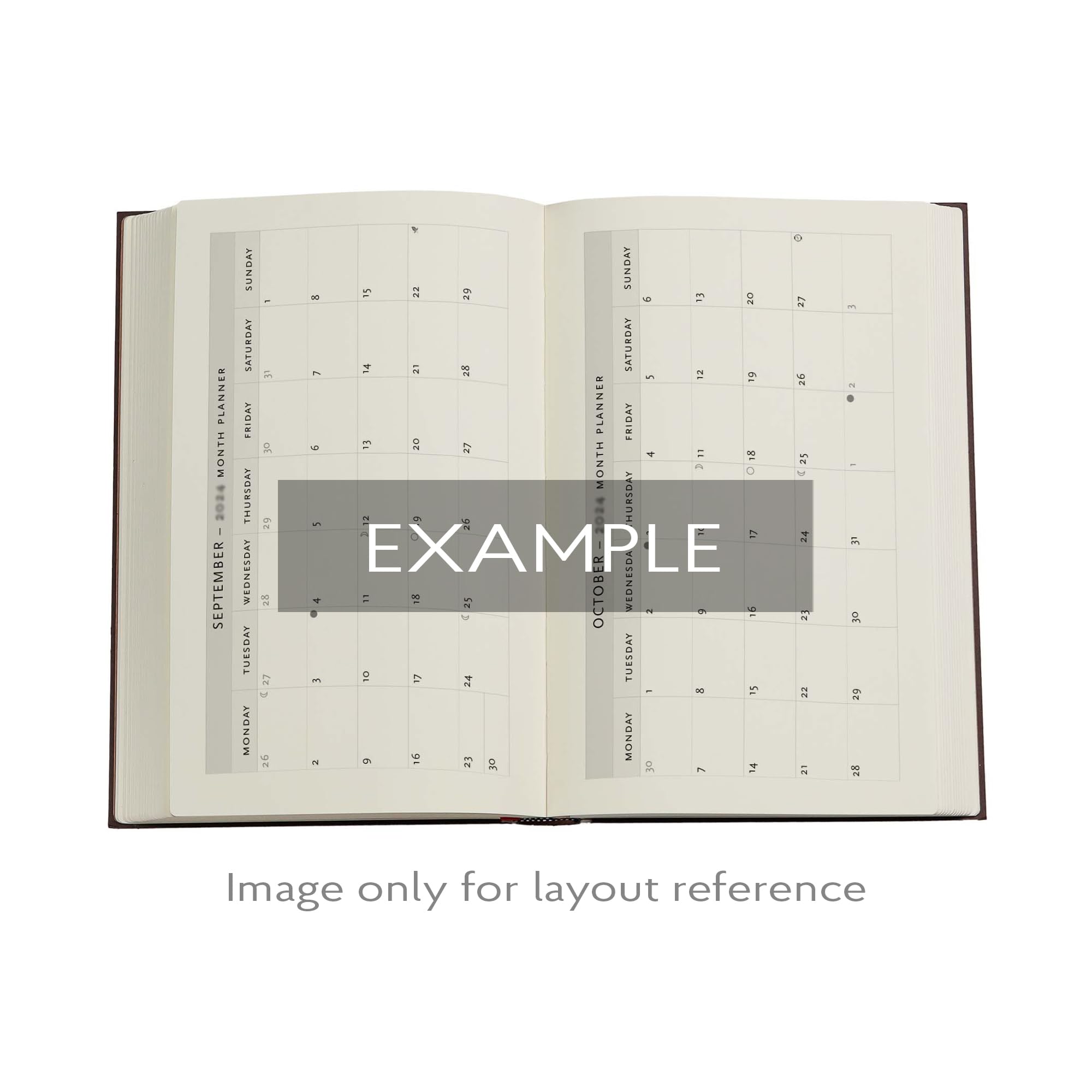 2026 Wild Flowers (Playful Creations) Midi 12-month Day-at-a-Time Softcover Flexi Dayplanner 2026 (Elastic Band Closure)