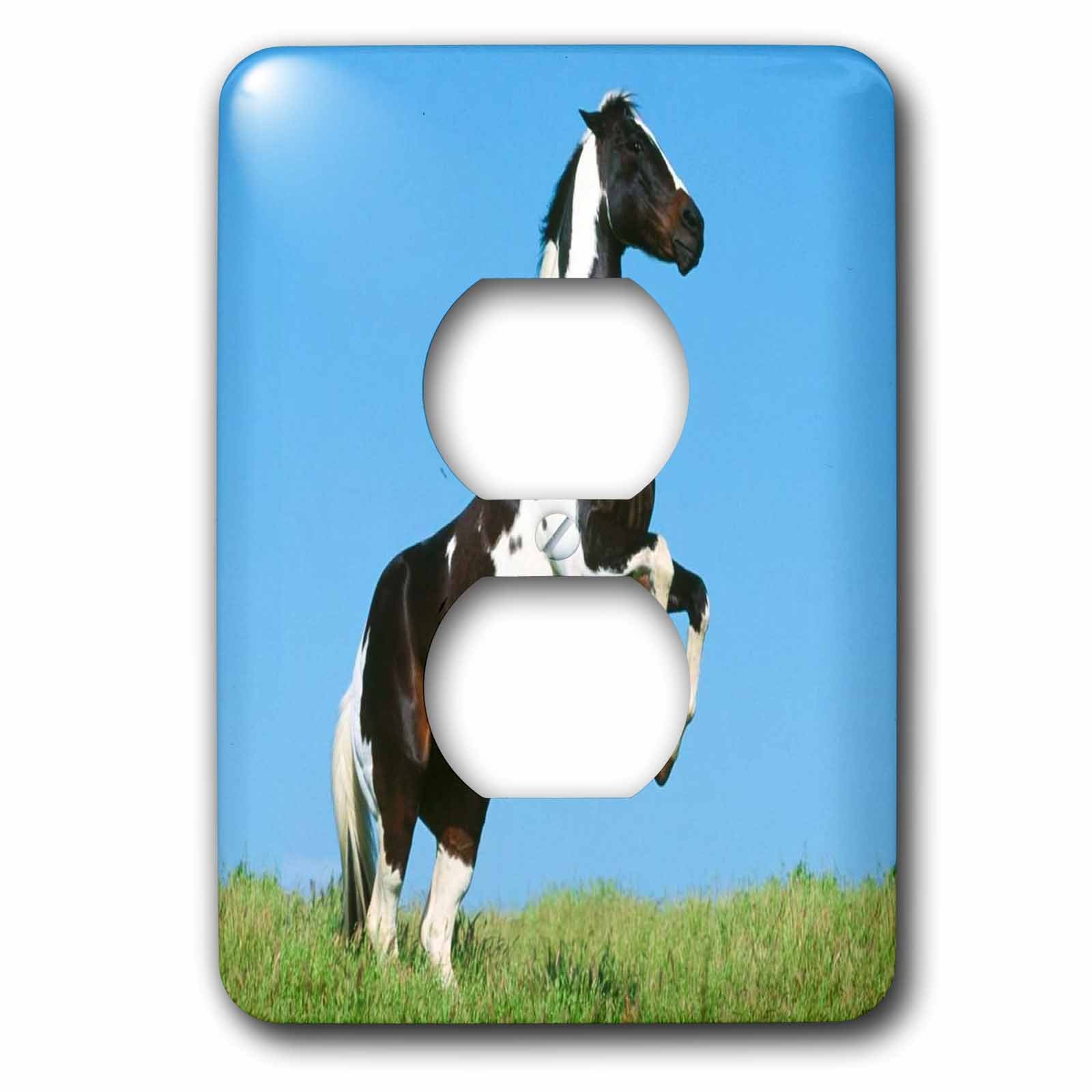 Magnificent Brown n White Horse plaque 2 prises de courant 3dRose LSP_61939