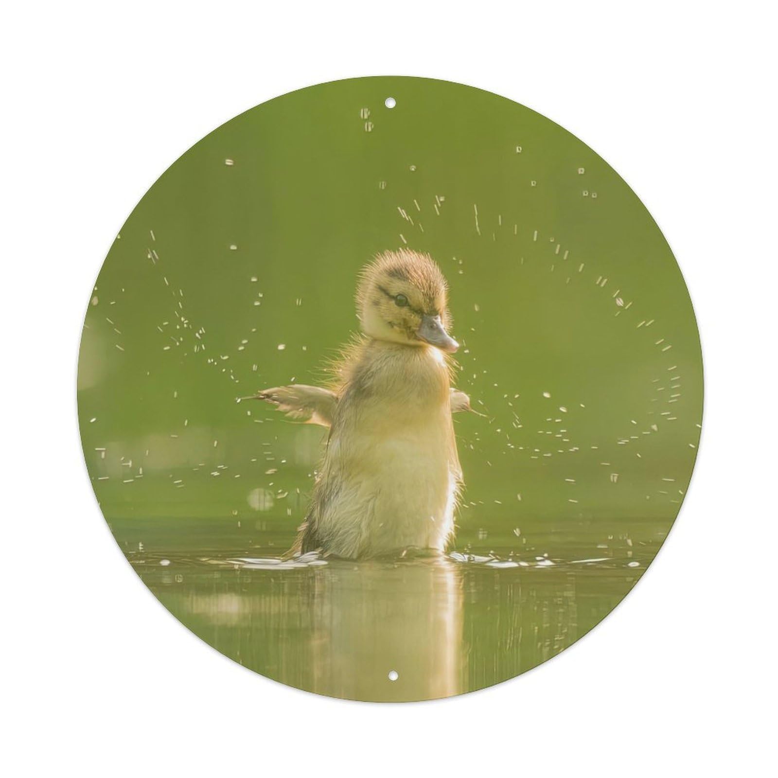 Cwbufd Vintage Style Animal Mallard Duckling Water Splash Sunlight Pond Ripples Countryside Vintage Metal Tin Sign Plaque Wall Decor For Cafe, Club Bar, Office, Garden Metal Poster 8X8inch