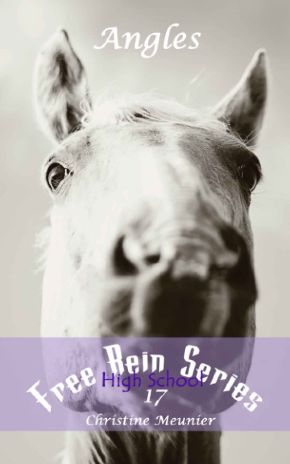 Angles (Free Rein Series)