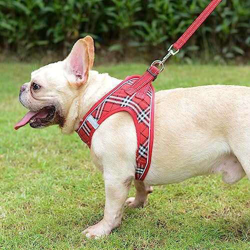 Suredoo Hundegeschirr Kleine Hunde mit Leine, Anti Zug Geschirr Reflektierend Atmungsaktiv Brustgeschirr, Welpengeschirr für Kleine Hunde (Rot Kariert, S, Brust: 29-33cm)