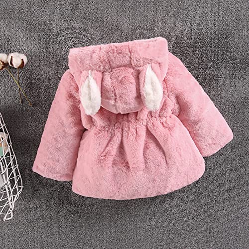 Boys Warm Clothes Children Winter Keep Hoodie Jacket Warm Zip Sleeve Clothes+Bag Cartoon Kids Long Up (Pink, 4-5 Years)3
