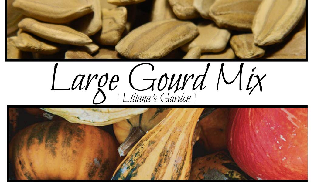 Gourd Seeds - Large Mix - 6+ Large and Giant Types in One Packet | Swan, Dipper, Corsican, Caveman's Club, Wings, and Many More | USA-Grown Seeds | Non-GMO Heirloom Garden Seeds by Liliana's Garden |