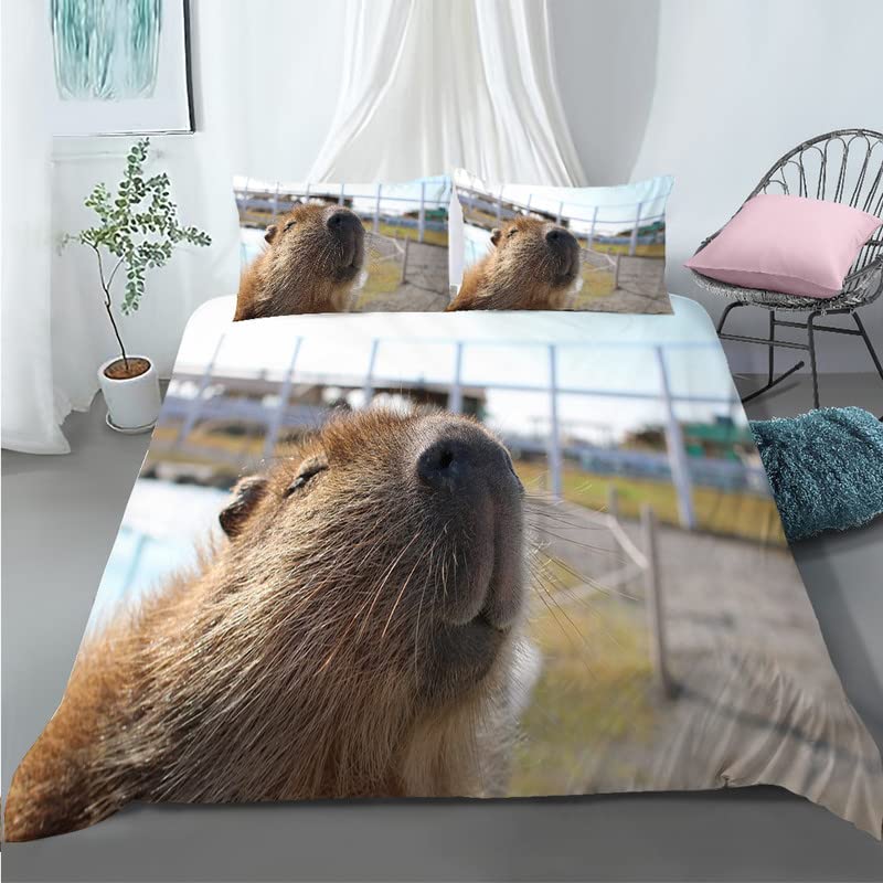 Housse de couette 90x190 enfant capybara lit garçon fille parure de lit microfibre 110g/㎡