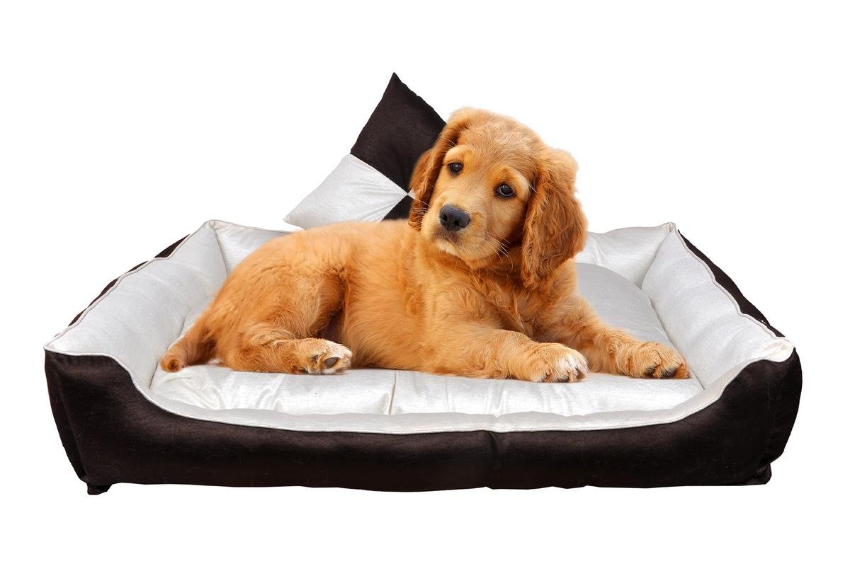 See full amazon price history chart for slatters be royal store Reversible Dual Ultra Soft Velvet Luxury Maroon Black Color Sofa Bed PET Bed | Dog Bed | CAT Bed | Puppies Puppy Bed | Rabbit Bed slatters be royal store Reversible Dual Ultra Soft Velvet Luxury Maroon Black Color Sofa Bed PET Bed | Dog Bed | CAT Bed | Puppies Puppy Bed | Rabbit Bed (B079Y1WJZC) Amazon Price History, Amazon Price Tracker