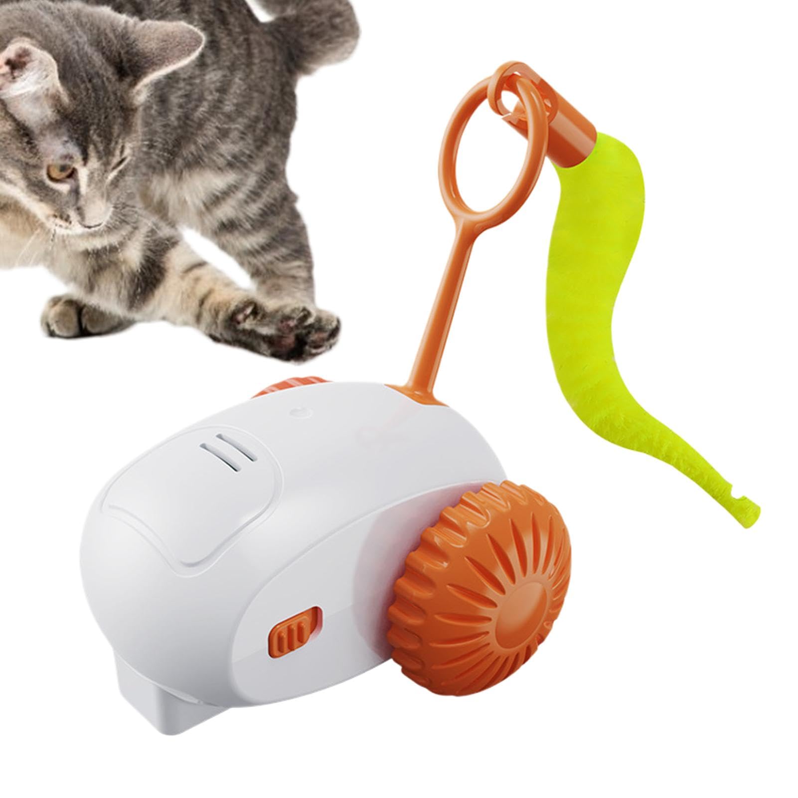 Are There Cat Exercise Toys: Ultimate Guide to Keep Cats Active