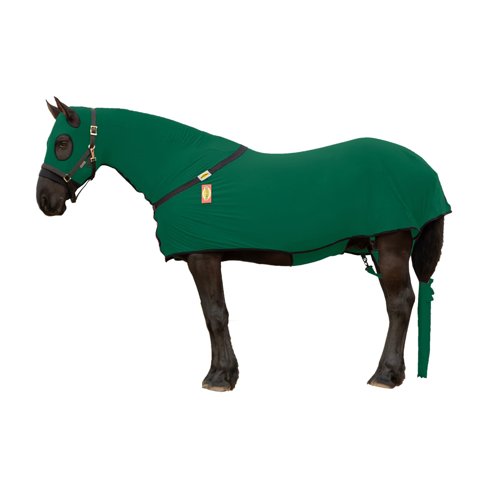 RESISTANCE Slinky a corpo intero con cappuccio completo con cerniera e fascia per pancia e diverse dimensioni (XL, verde scuro)