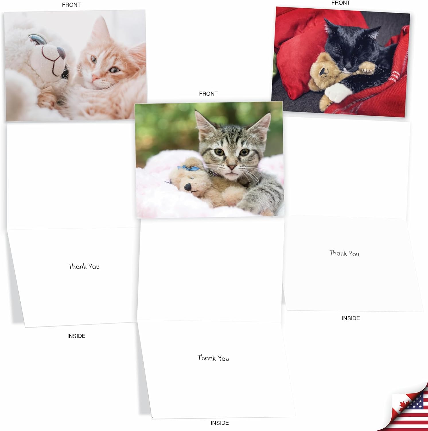 The Best Card Company - 20 Assorted Boxed Thank You Note Cards with Envelopes (4 x 5.12 Inch) - Teddy Cat AM2821TYG-B2x10 - Image 3