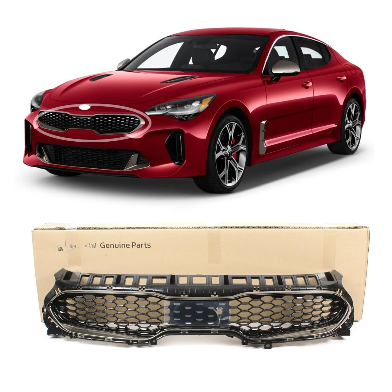 Amazon.com: Genuine OEM 86350-J5900 Radiator Grille Front
