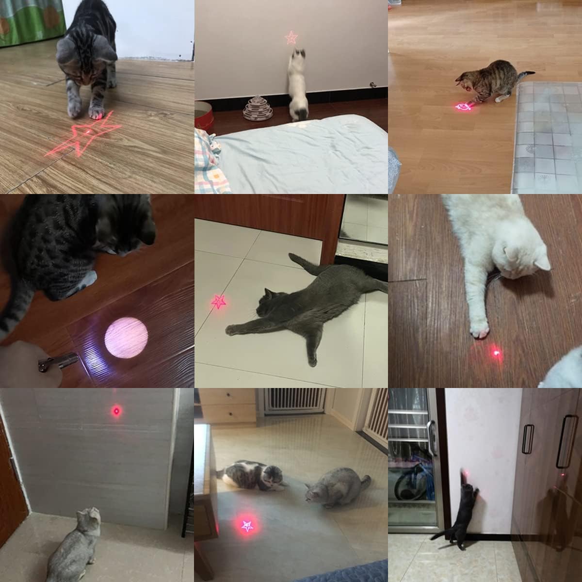Laser Pointer for Cats Dogs, Cat Laser Toy, Interactive Cat Toys for Indoor Cats Dogs, Red Lazer Pointer Kitten Toys,Cat Laser Pointer Laser Light for Cats USB Rechargeable