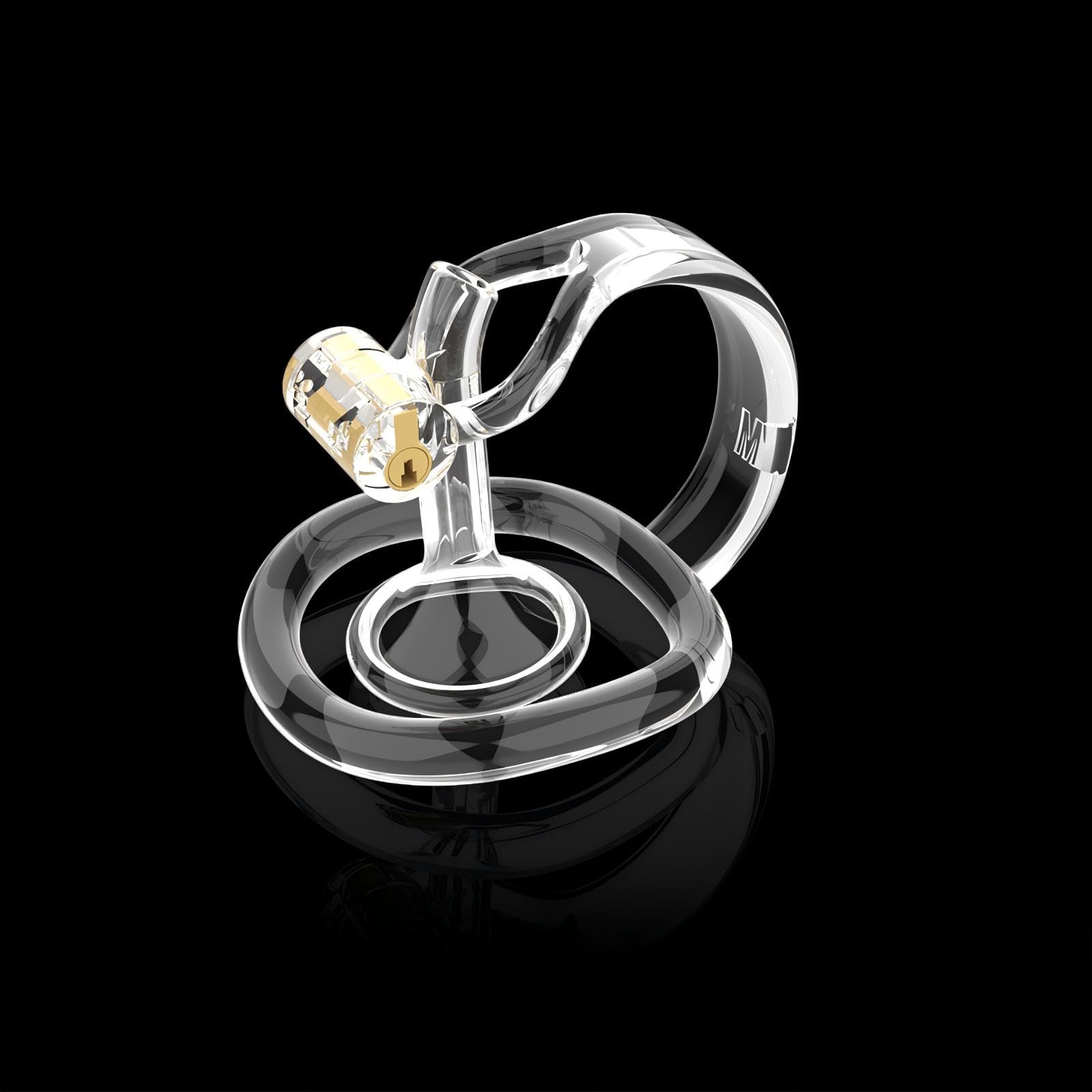 Cage de Chasteté pour Pénis Inversé Chastity Cage Man avec Ceinture et Bac Urinaire Sex Toys Cage Chastetée Légère Durable en Résine de Nylon avec Verrou pour le Bondage du Pénis (Transparent,S)