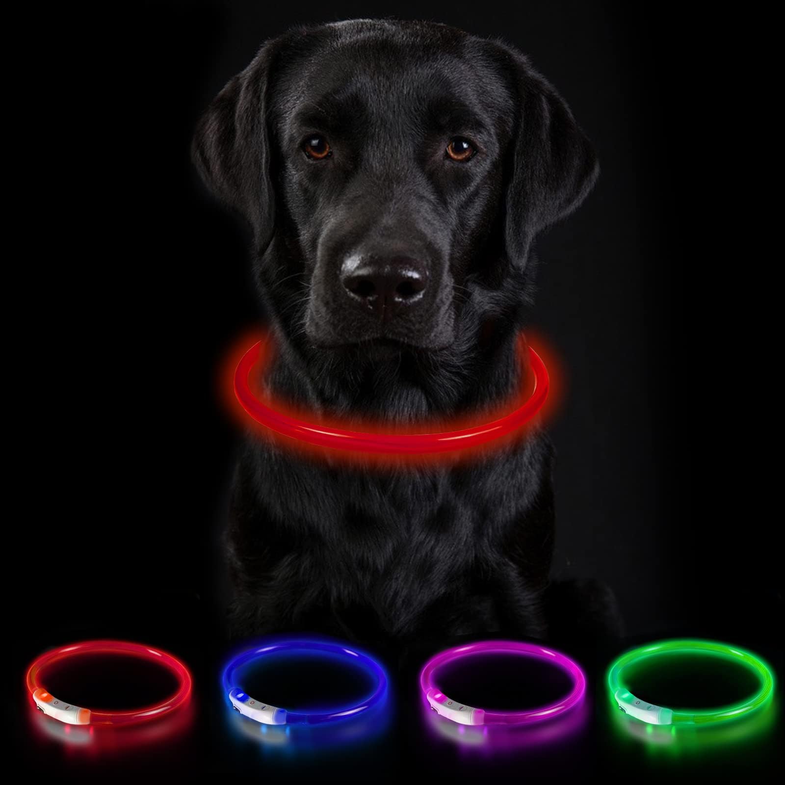 Leuchthalsband Fur Hund